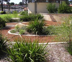 2012 Boronia Inspection view of the First Peoples' Garden