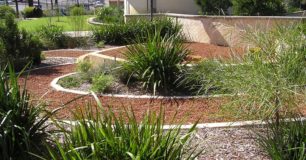 2012 Boronia Inspection view of the First Peoples' Garden