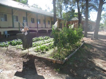 Image of a vegetable patch with scarecrow at Wooroloo Prison Farm