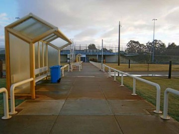 Entrance pathway to Casuarina