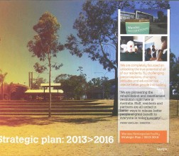 Wandoo strategic plan cover