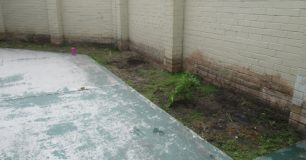 Denuded garden bed in protection wing