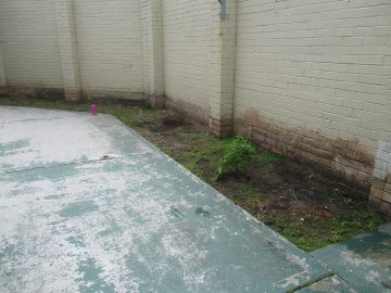 Denuded garden bed in protection wing