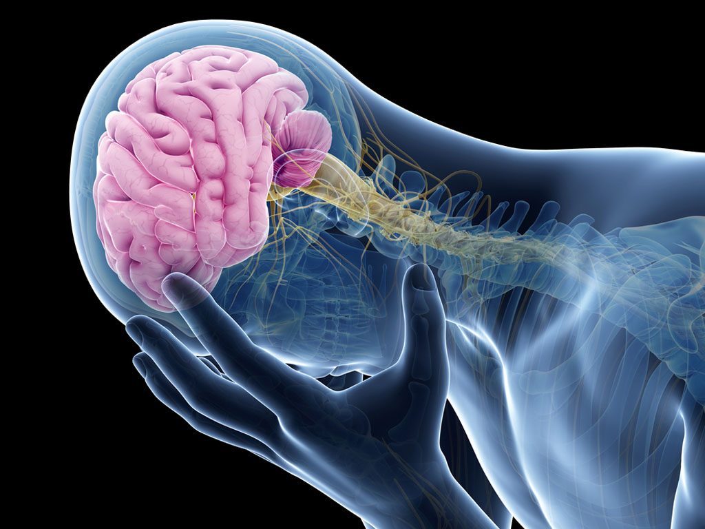 Silhouette of person holding their head, with the brain area highlighted