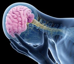 Silhouette of person holding their head, with the brain area highlighted