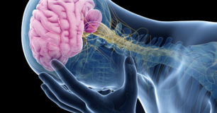 Silhouette of person holding their head, with the brain area highlighted