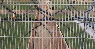 Image of prison grounds through fence at Casuarina Prison