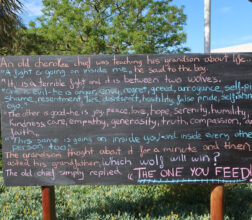Image of a quote on a blackboard at Wandoo