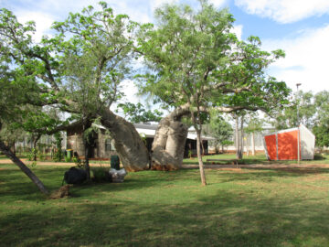 Image of a Boab tree outside the women's Unit 2 at West Kimberley Regional Prison