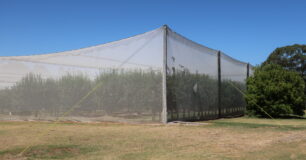 Image of the net covered fruit orchard at Pardelup Prison Farm