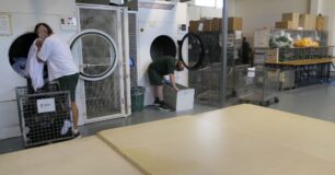 Image of prisoners working in the laundry in Hakea Prison