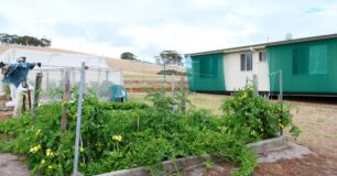 Image of a vegetable garden at Walpole Work Camp